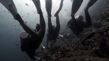 Philippines shark attack: 2 tourists killed at popular diving spot