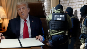 Trump-backed bill to avert shutdown boosts funding for illegal immigrant arrests, deportations