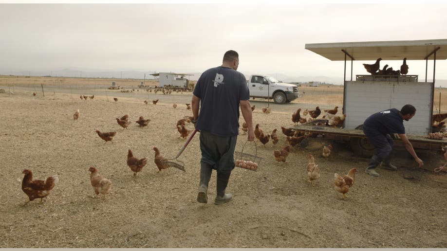 Tulare County Jail inmate farm