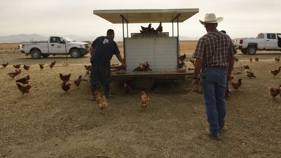 Tulare County inmate farm