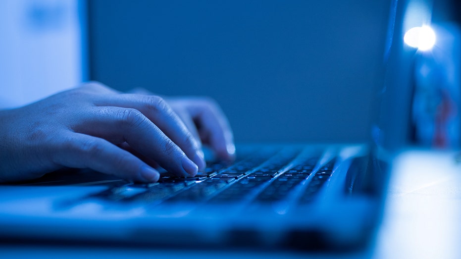 Chinese national sentenced to prison for sabotaging employer's systems with 'kill switch'