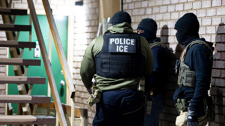 GOP Rep McCaul urges Trump admin to prioritize 'aggravated felons' when detaining illegal immigrants