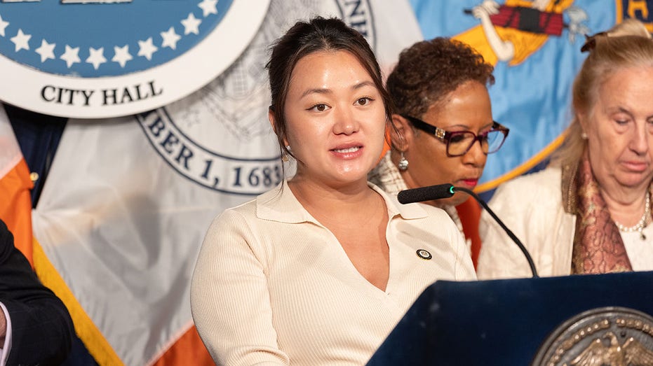 NYC councilwoman offers bill to shield migrant shelter locations from public, amid illegal migration crackdown