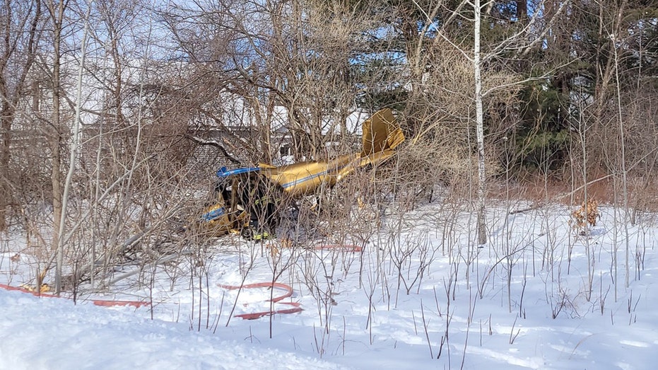 Pilot walks away unscathed after small plane crashes near Hampton Airfield in New Hampshire