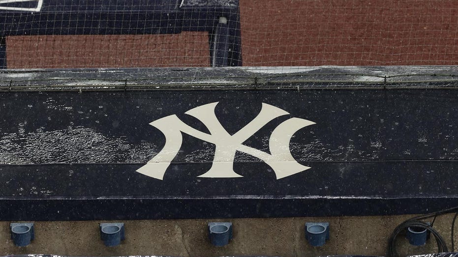 Yankees Prospect Eric Reyzelman Hospitalized After Allergic Reaction