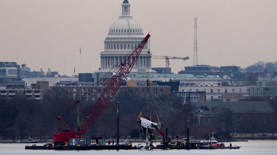 Families File Lawsuits Following Deadly Plane Crash Near Reagan Airport