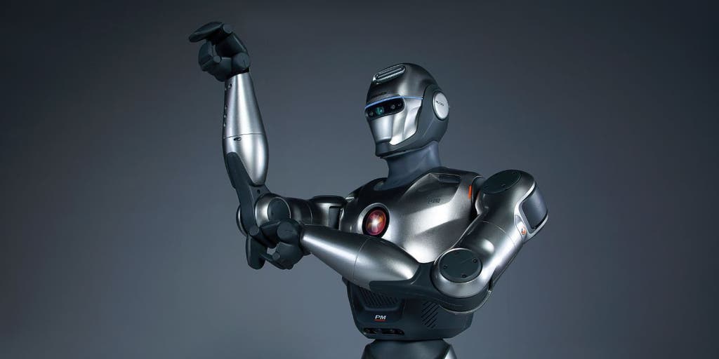 WBSB×HUMAN ROBOT:PANDEAD(Chinchiro) WBSB×HUMAN ROBOT:PANDEAD(Chinchiro) Wbsb Human Robot Pandead