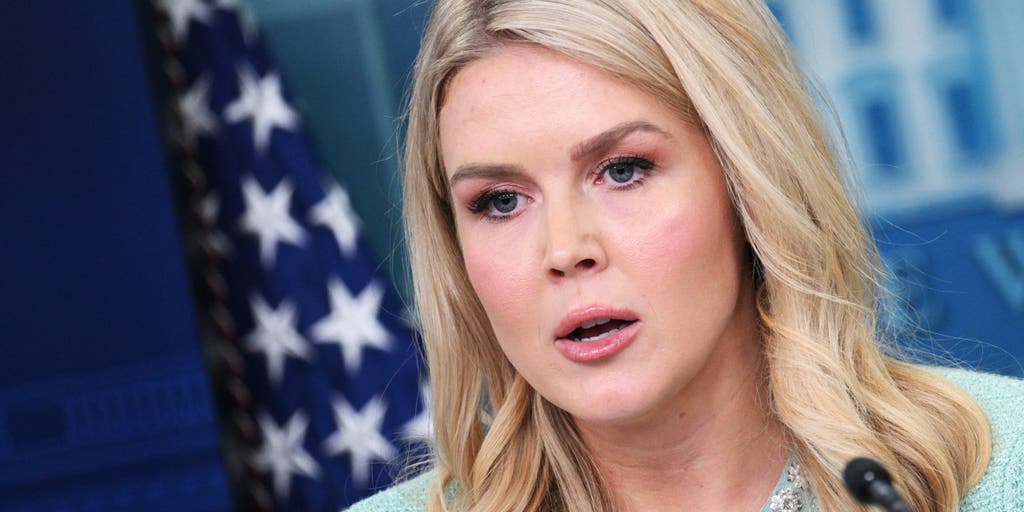 Karoline Leavitt says AP reporter 'clearly' failed to grasp Trump's tariff plan after heated exchange