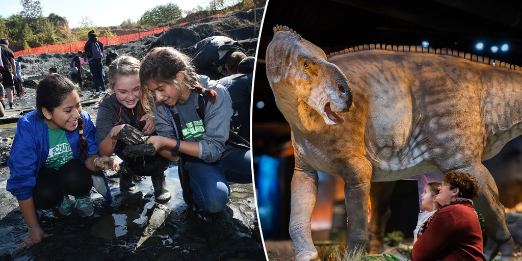 Travelers can hunt for million-year-old fossils and more valuable treasures in these spots