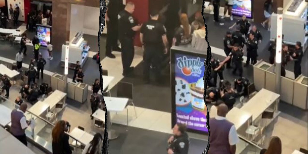 DC-area mall shut down after multiple fights in food court, 3 teens hit with riot charges