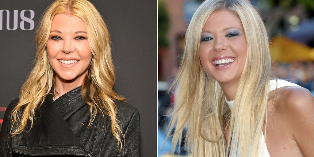 'American Pie' star Tara Reid pushes for a sequel as she hits indie film red carpet