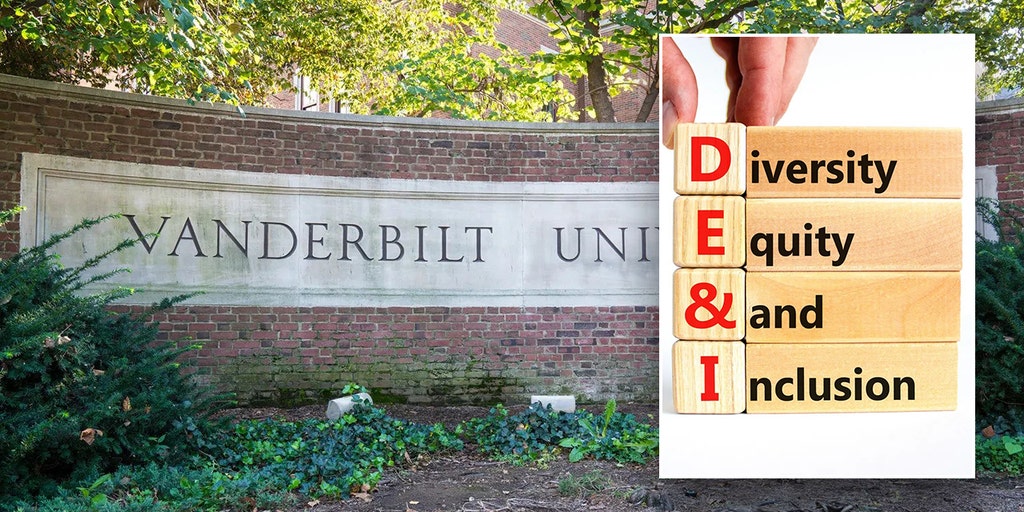 Red state lawmakers warned about allegedly accepting 'DEI dollars' from hospital association: Watchdog
