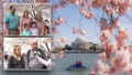 Tourists question if simple act is 'illegal' amid cherry blossom season, park ranger reveals answer - Fox News