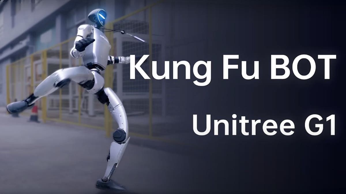 kung fu robot 1