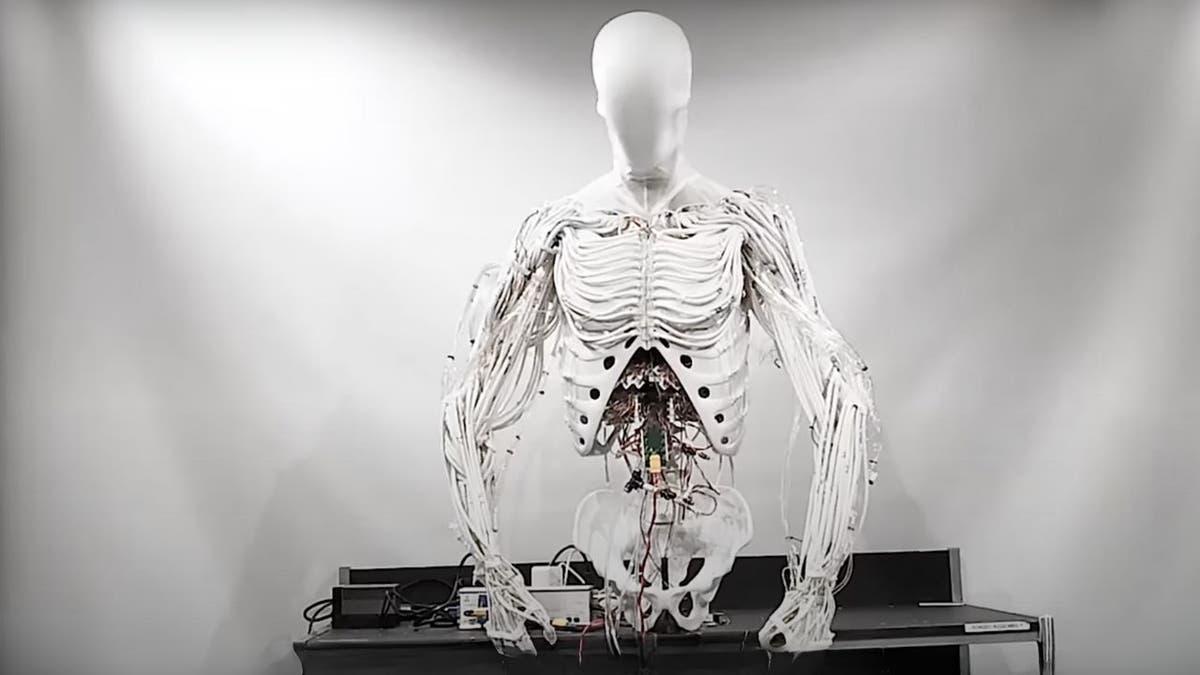 Des bouts de robot humanoïde effrayant en utilisant 1 000 muscles artificiels étranges