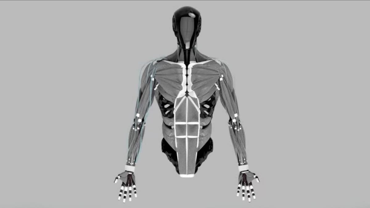 Des bouts de robot humanoïde effrayant en utilisant 1 000 muscles artificiels étranges