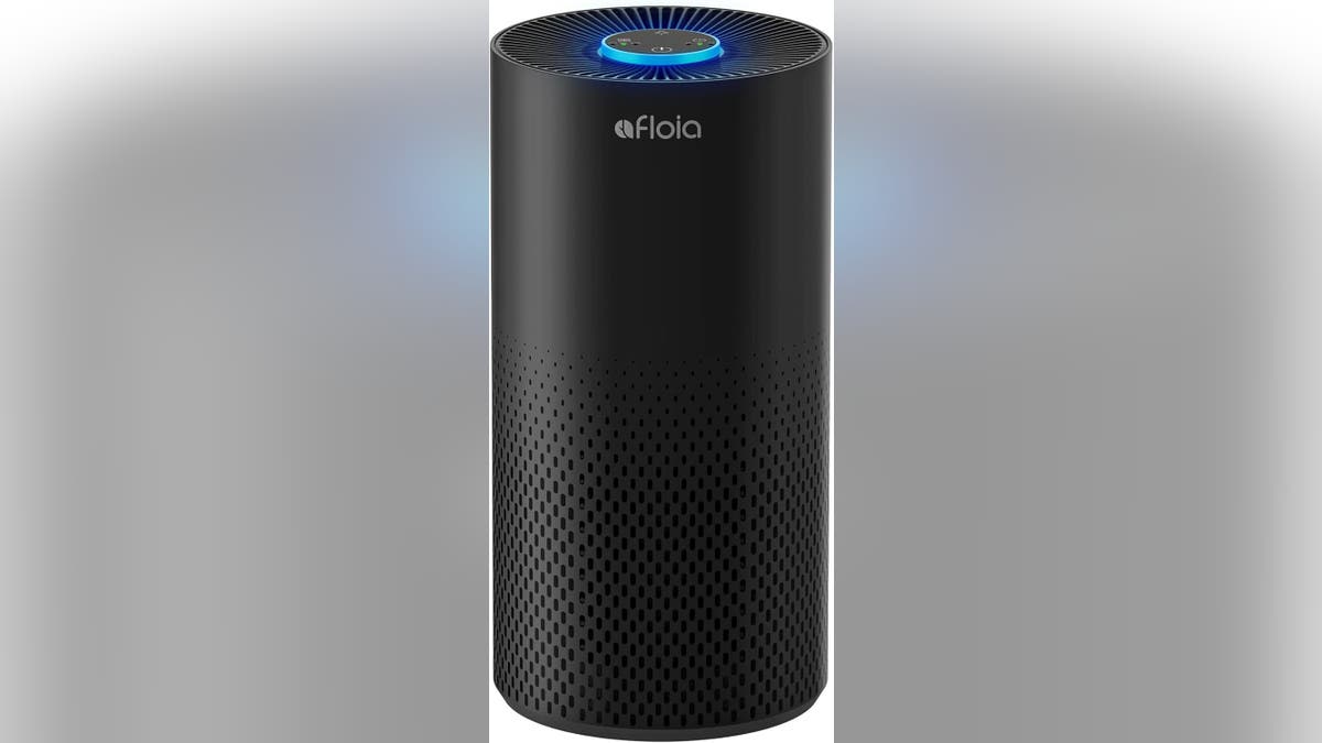To keep your air fresh and dust-free, use an air purifier. 
