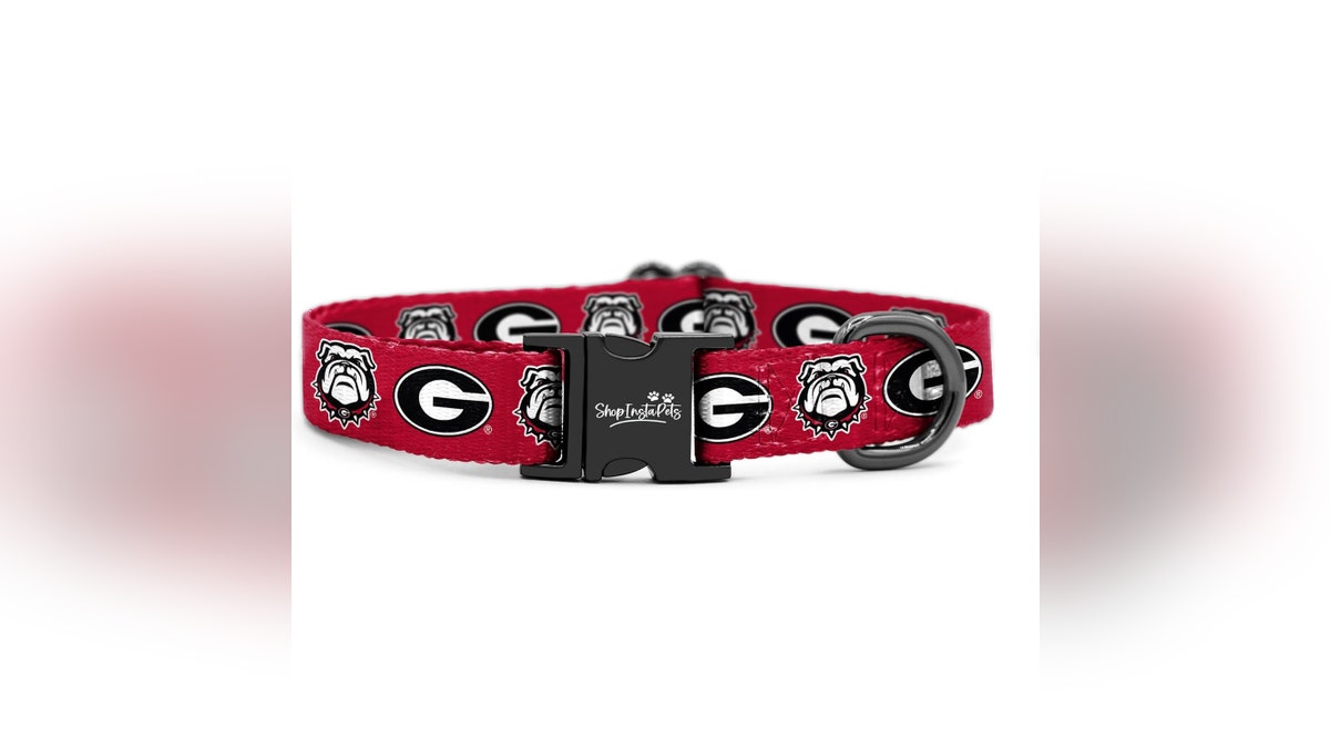 Georgia fans will appreciate this heavy-duty team collar.?
