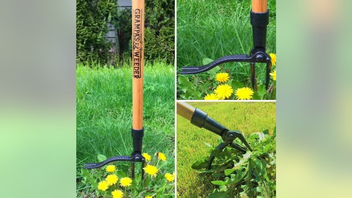 Remove weeds easily with Grampa's Weeder. 