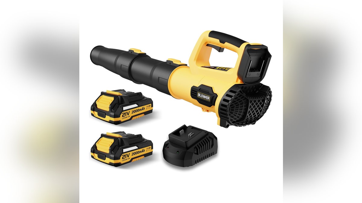 A leaf blower that's lightweight and ideal for small yards. 