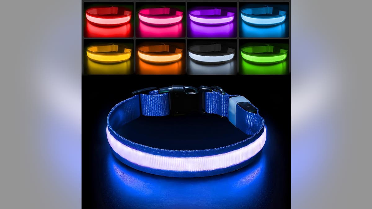 Make sure everyone can see your dog no matter what time you hike with this light-up collar. 