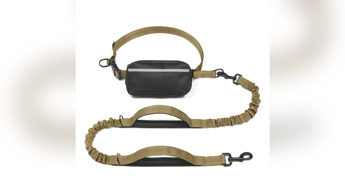 Walk hands-free with your dog using this leash. 