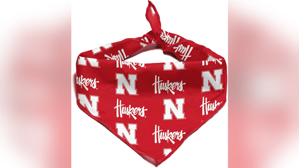 A simple bandanna can show a lot of school spirit.?