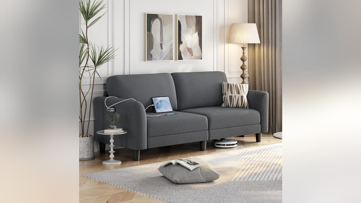 An affordable, comfortable couch.?