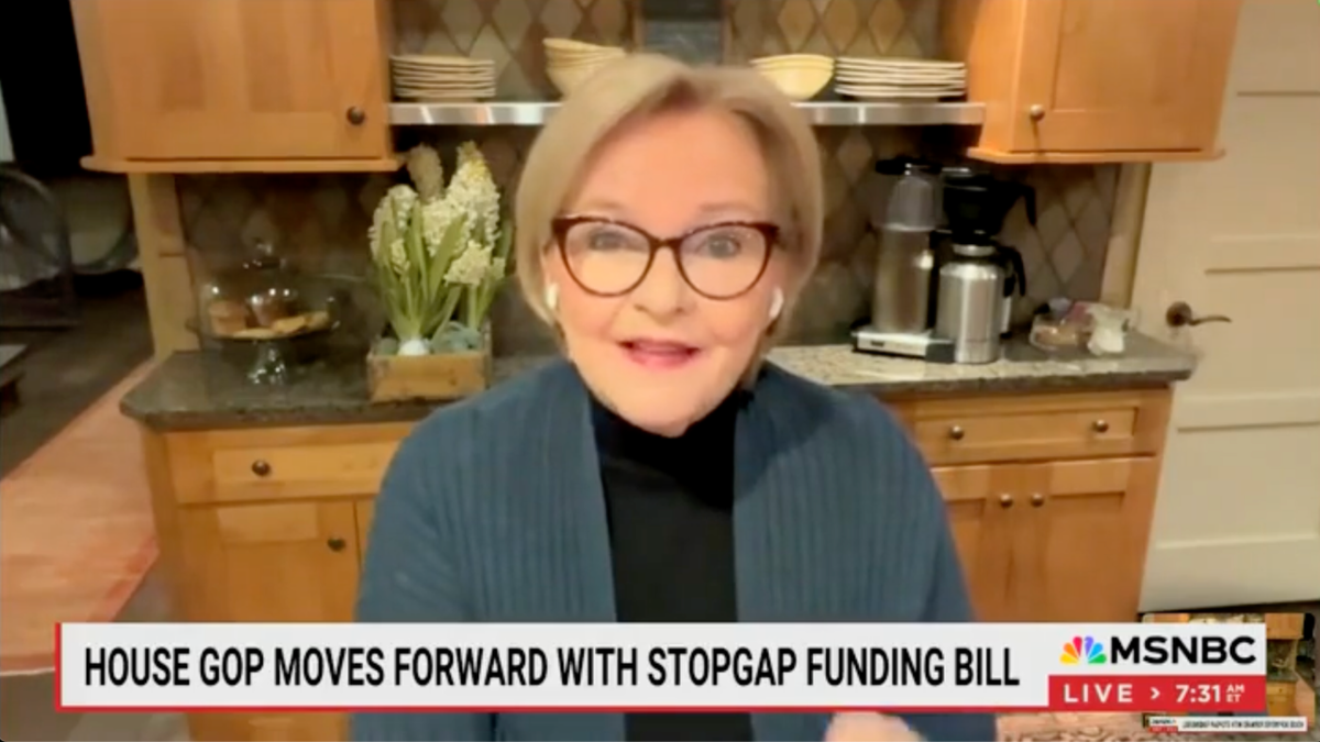 MSNBC analyst and former Democratic Sen Claire McCyl says that if there is a government shutdown, there may be a mistake in the Democrat party. (Photo: MSNBC screenshot)