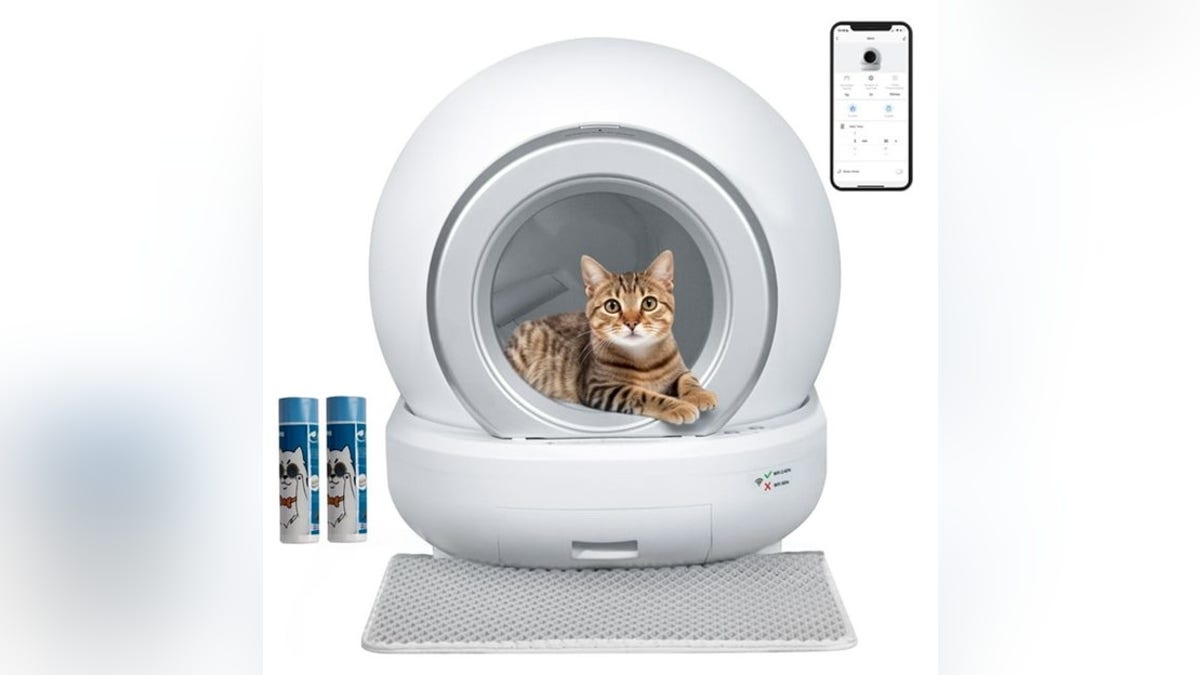 Never worry about cleaning your cat's litter box again. 