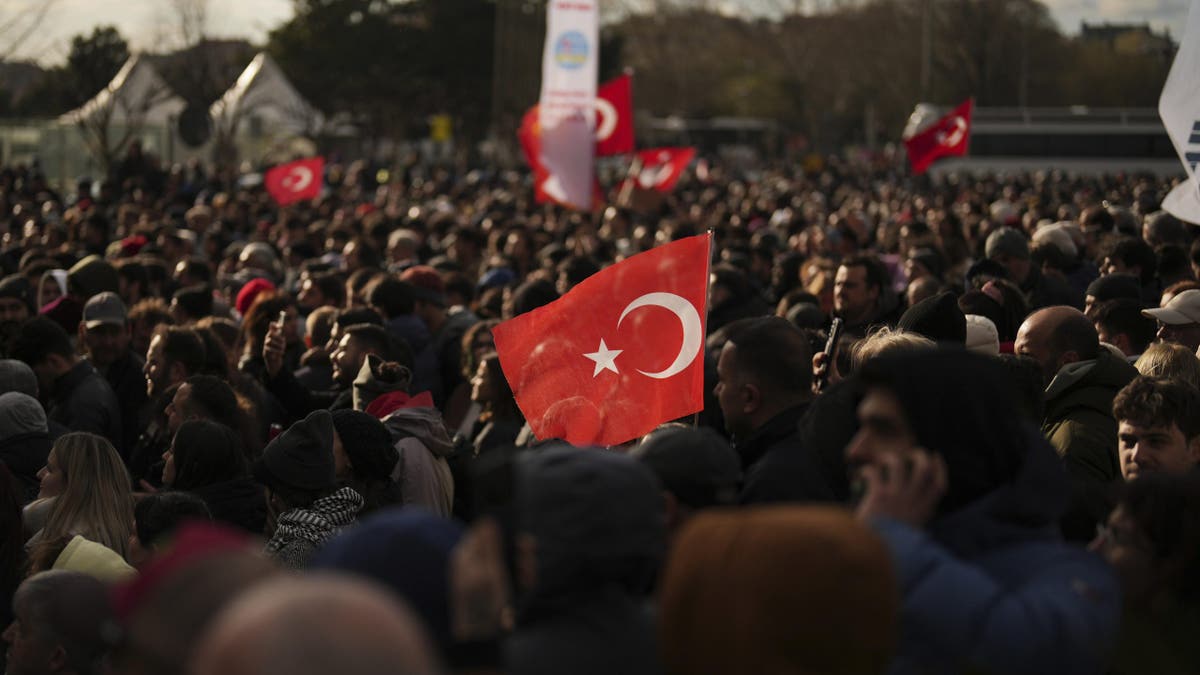 Protestos anti -aeridogan