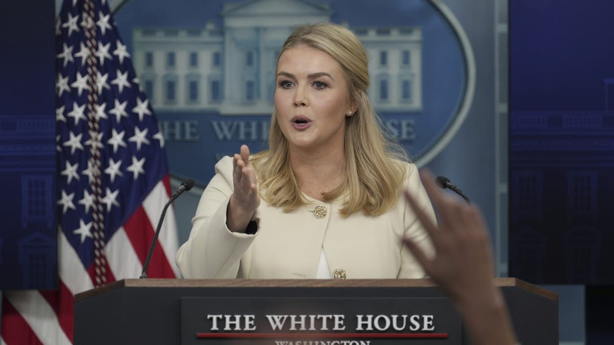 White House press secretary Karoline Leavitt speaks during the daily briefing at the White House in Washington, March 19, 2025. (Ben Curtis/The Associated Press) 