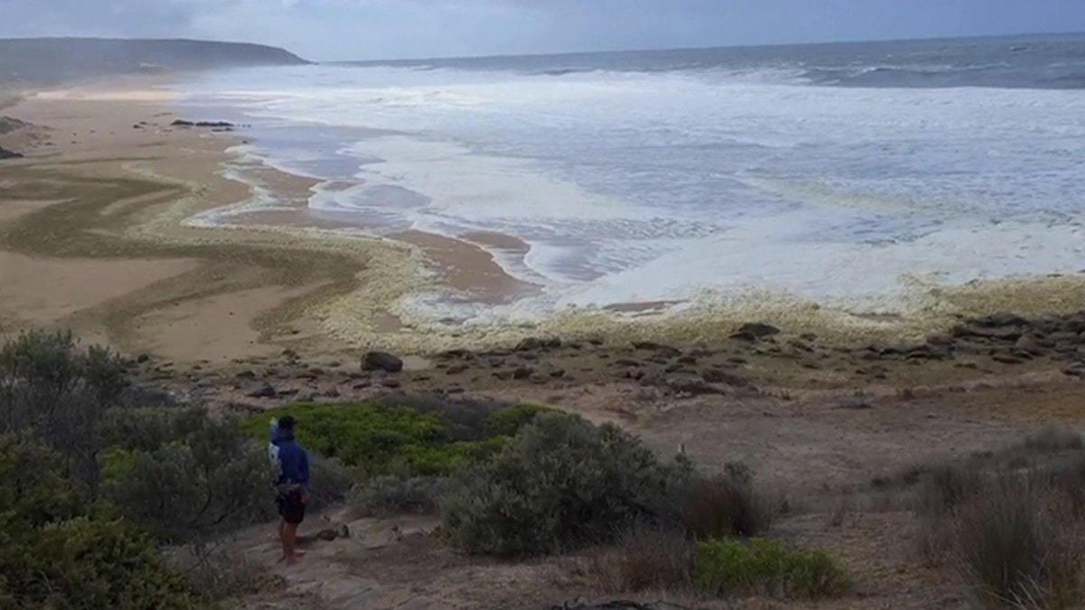 Australian FOAM ON BEACH