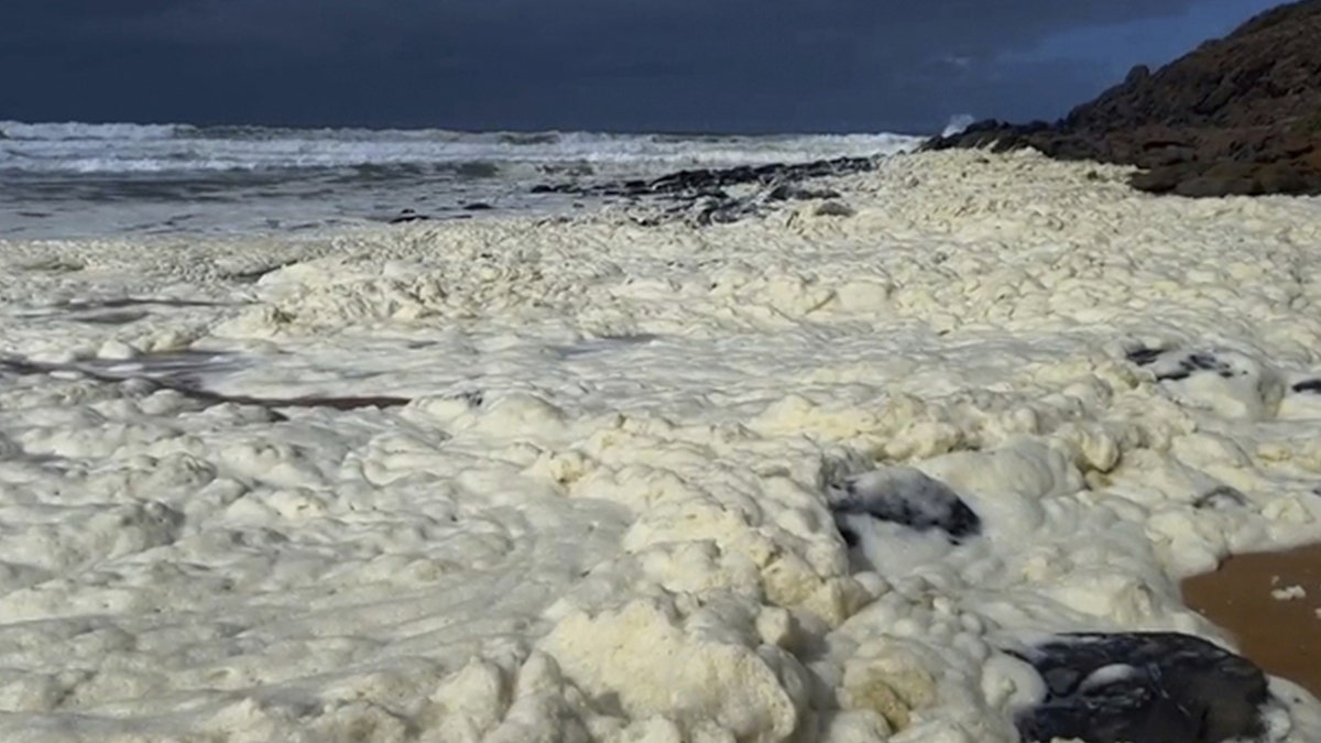 Australian BEACH FOAM