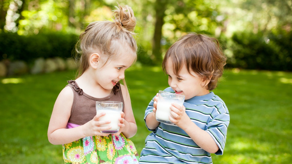 A girl and a boy look at each other while sitting outside holding glasses of milk.