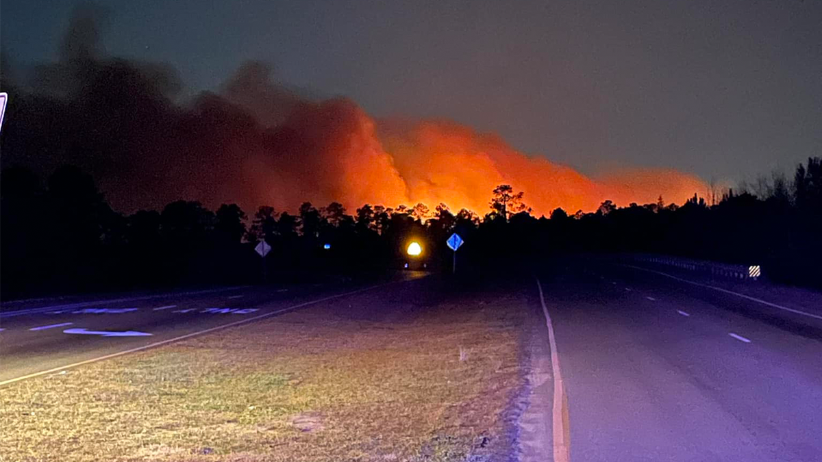 A large wild flame near Carolina forest.