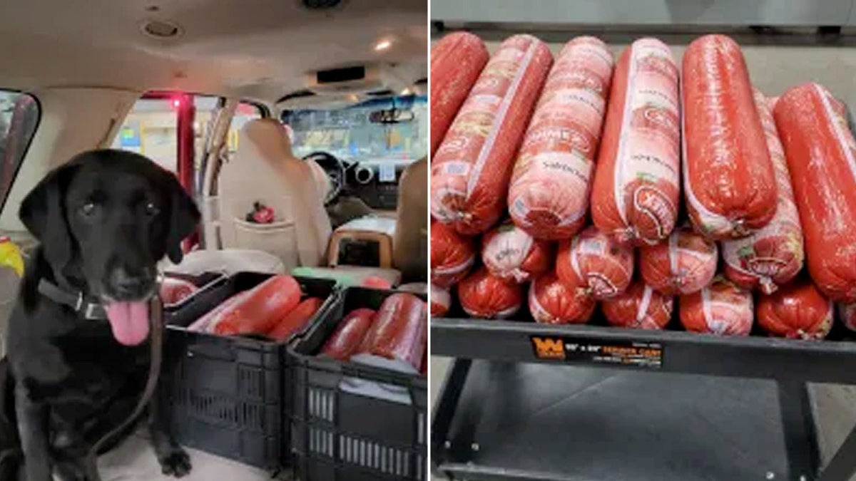 The Wildest Smuggling Attempt: 242 Pounds of Bologna!