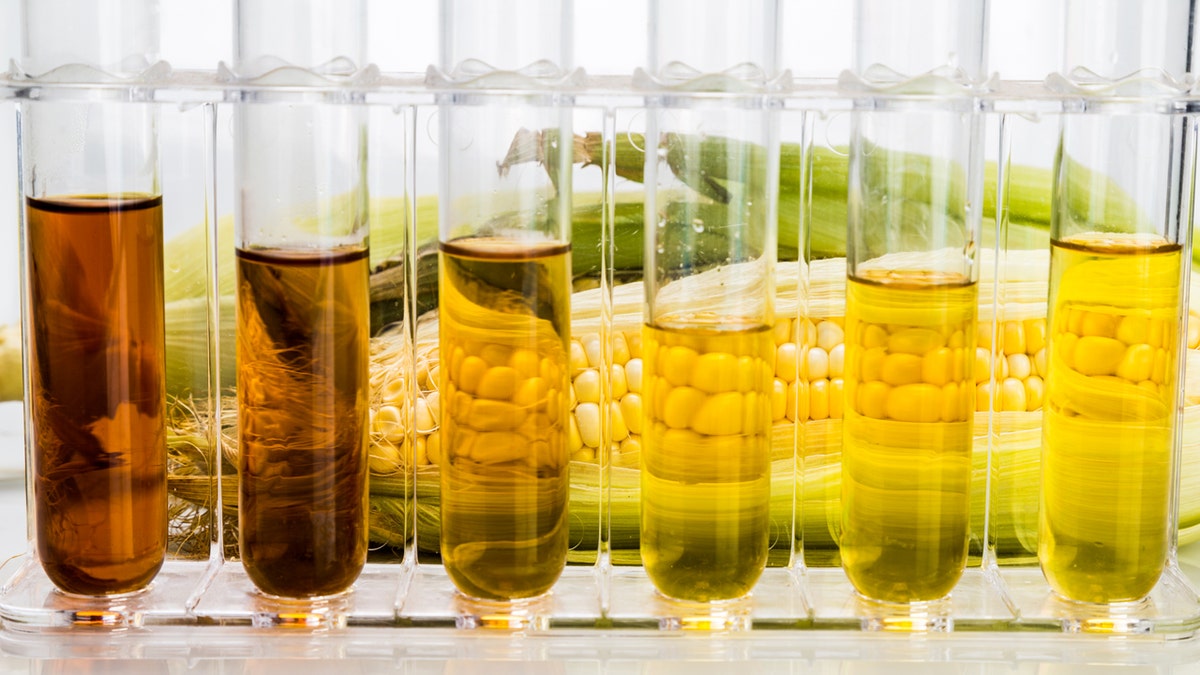 Corn-generated ethanol biofuel with test tubes on white background.