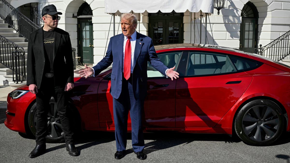 President Donald Trump and Tesla CEO Elon Musk speak to reporters near a red Model S Tesla vehicle on the South Lawn of the White House Tuesday, March 11, 2025, in Washington. (Pool via AP)