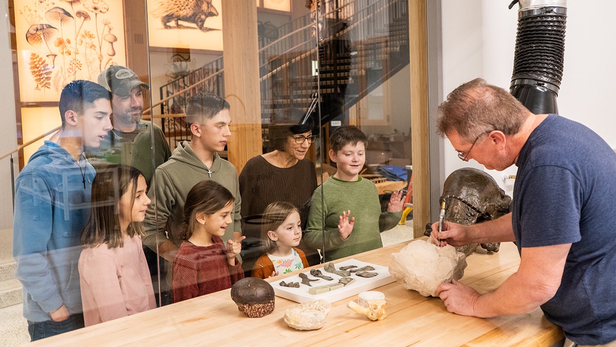 Excavations at the Dinosaurs Museum in New Jersey