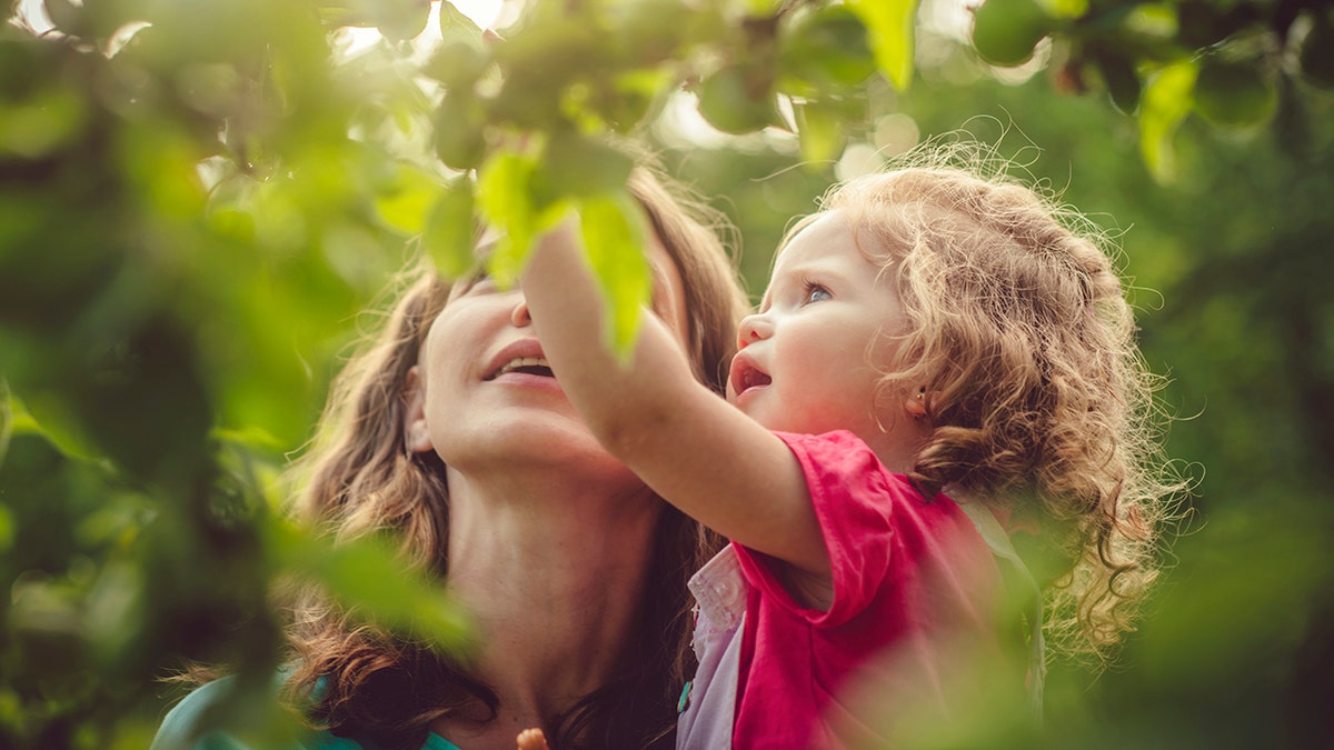 Mother and daughter in a park touching the leaves