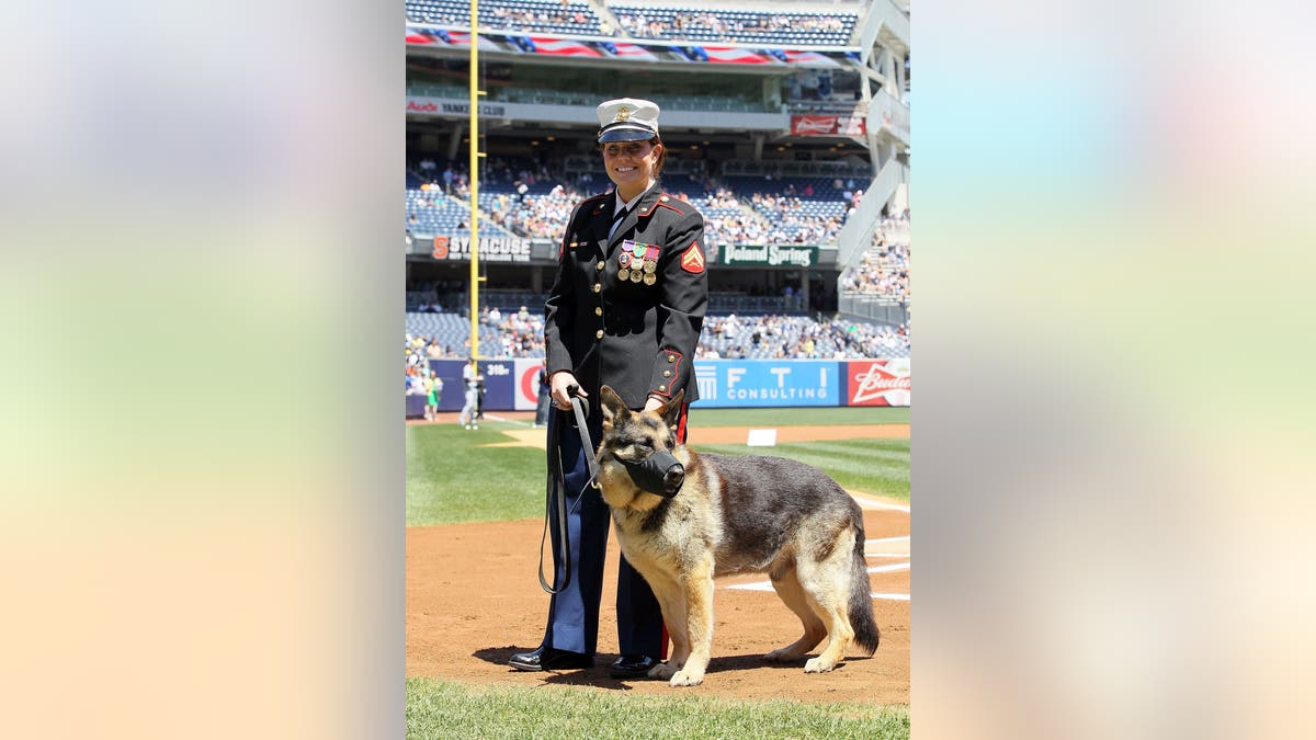 Ex -marinho cpl. E o destinatário do coração roxo Megan Levi e o sargento de cães de combate. Rex