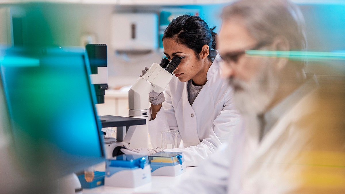 Scientists working in the laboratory