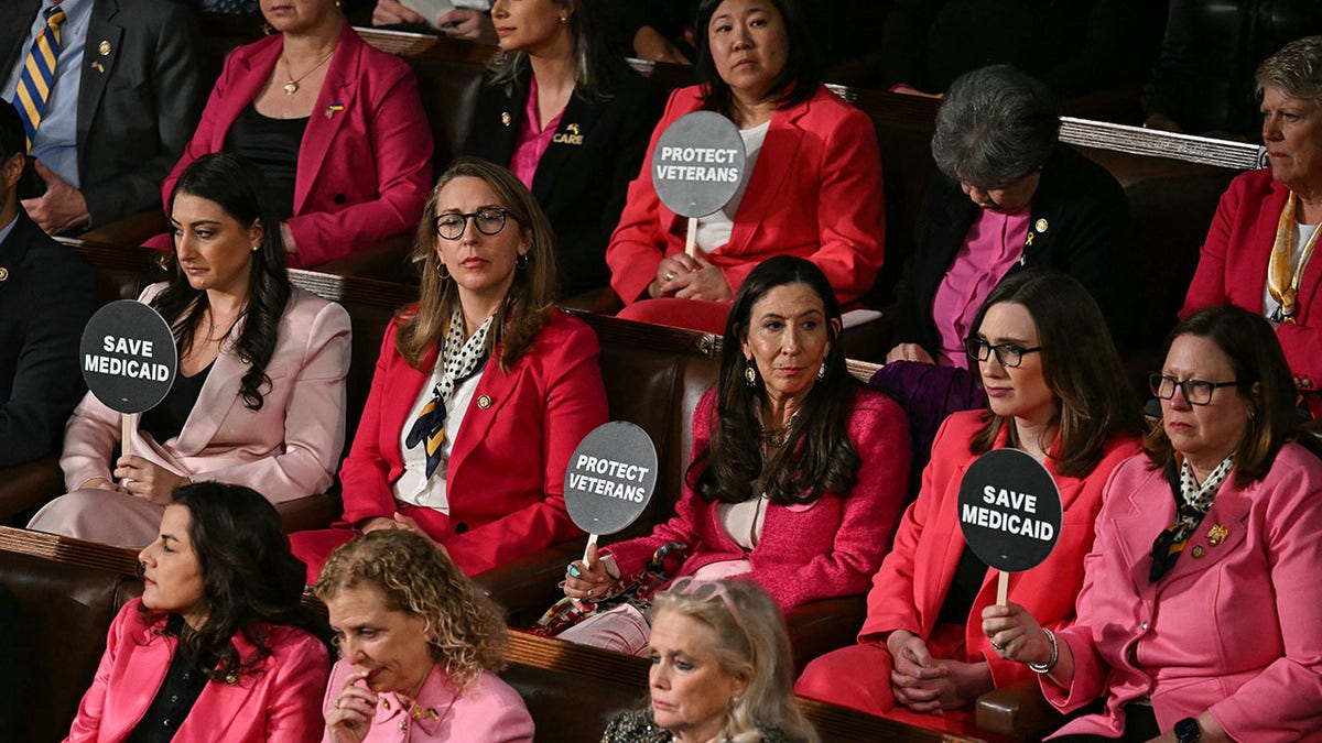 Democraten dragen roze om te protesteren tegen het adres van het congres van Trump