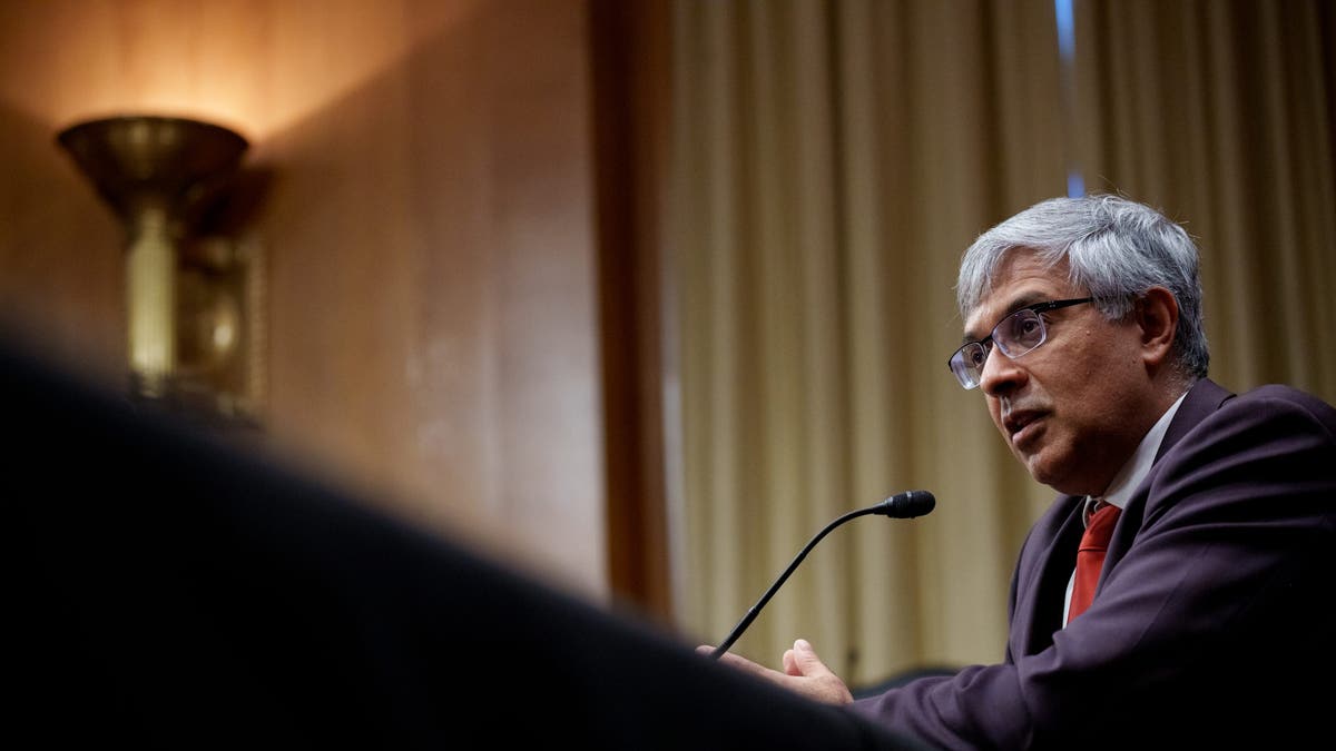 Jayanta Bhattacharya, President Donald Trump's nominee to be Director of the National Institutes of Health, speaks at his confirmation hearing before the Senate Committee on Health, Education, Labor, and Pensions on Capitol Hill on March 5, 2025 in Washington, DC. 