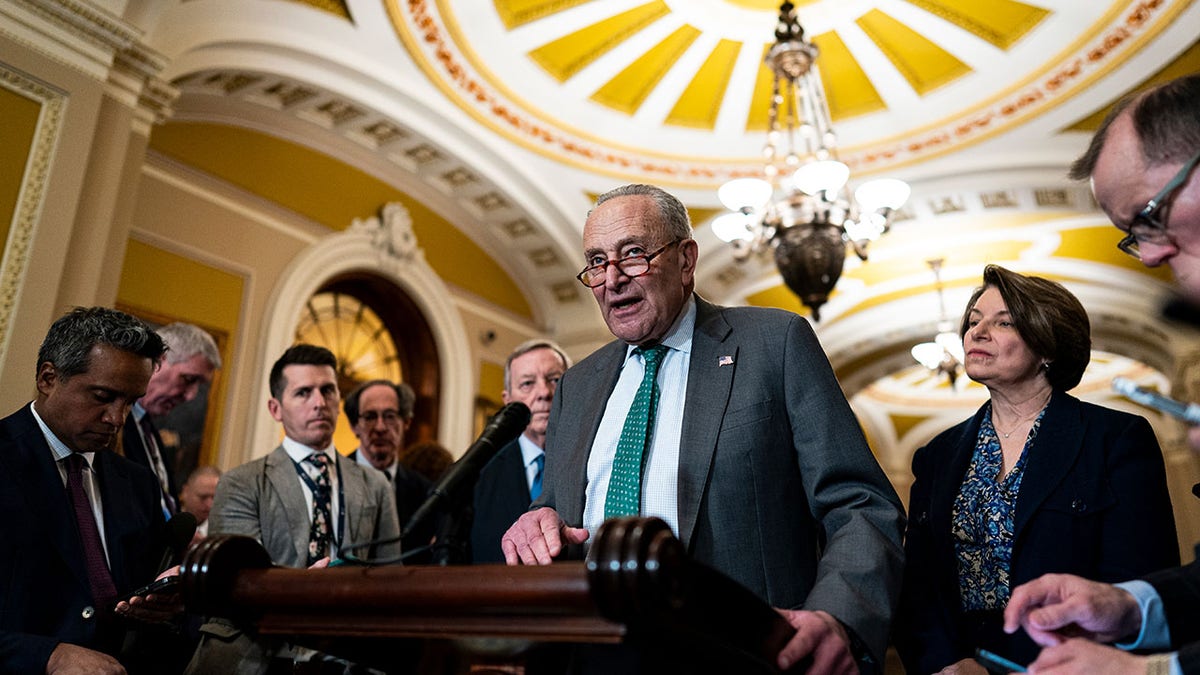 Democrat Schumer holds the press in Capitole after political lunch