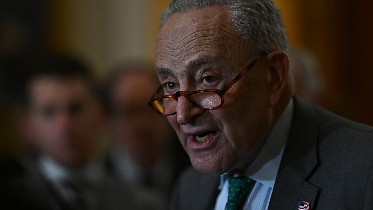 Schumer talks to reporters after Democrat lunch meeting