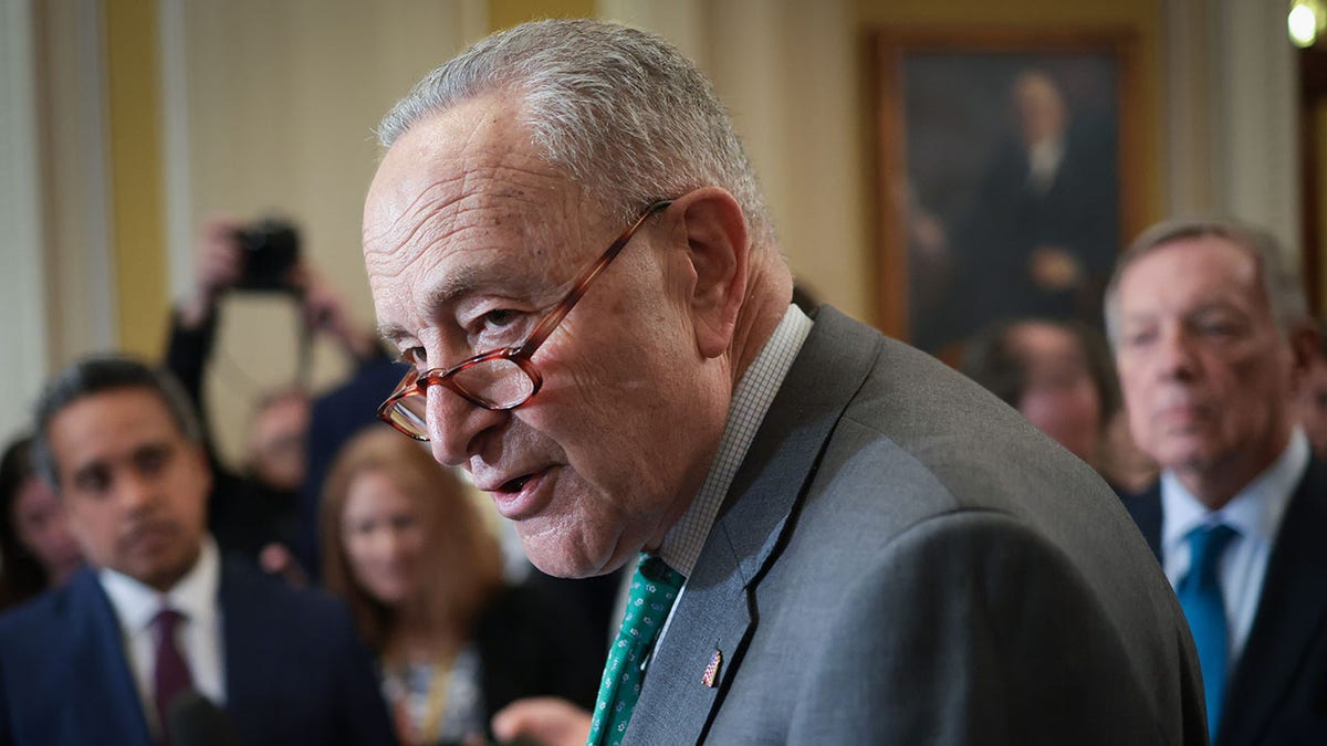 Schumer at Capitol press conference 