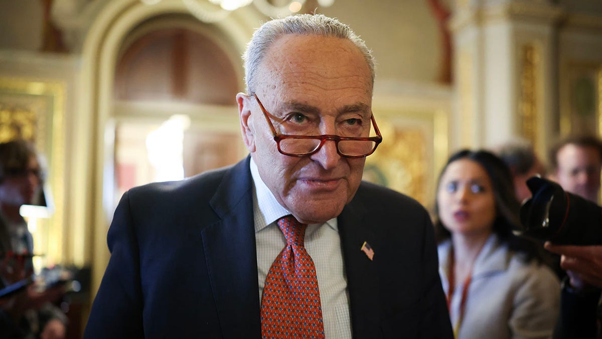 Schumer in the Capitol