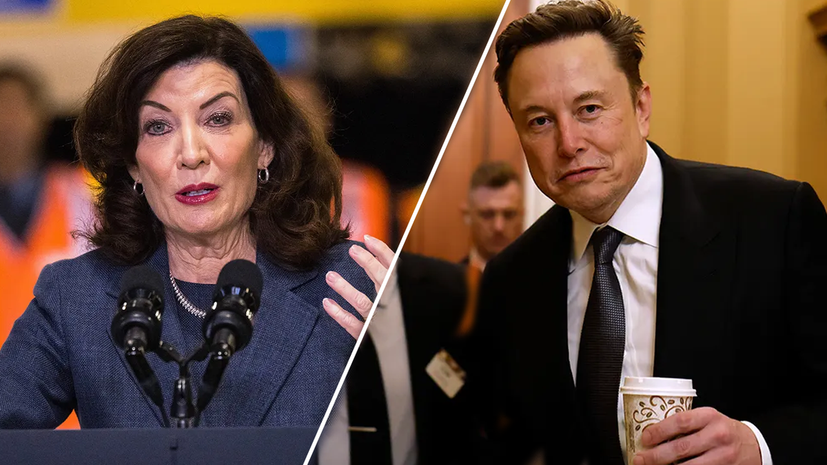 New York Governor Cathy Hochol Illon Musk Doug A. "An ignorant cadre of job killers"